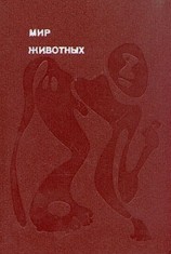 читать Рукокрылые, приматы, неполнозубые, панголины, зайцеобразные, грызуны, китообразные, ластоногие, трубкозубые, даманы, сирены и хоботные