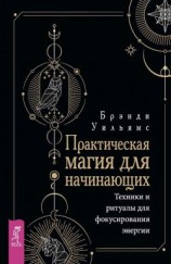 читать Практическая магия для начинающих. Техники и ритуалы для фокусирования энергии