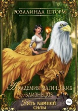 читать Академия магических близнецов. Пять камней силы