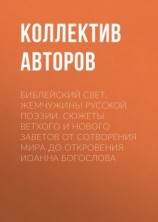 читать Библейский свет. Жемчужины русской поэзии. Сюжеты Ветхого и Нового Заветов от сотворения мира до Откровения Иоанна Богослова