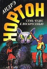 читать Волшебный дом (Магия восьмиугольного дома)