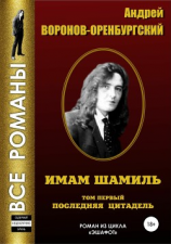 читать Имам Шамиль. Том первый. Последняя цитадель