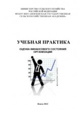 читать Учебная практика. Оценка финансового состояния организации