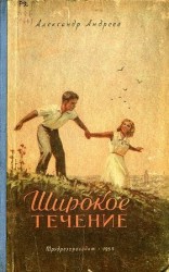 читать Широкое течение