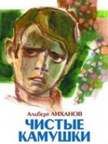 читать Чистые камушки