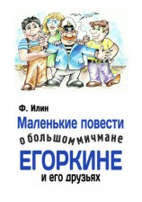 читать Маленькие повести о большом мичмане Егоркине и его друзьях