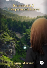 читать Близнецы 2. Секретный ключ