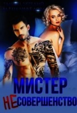 читать Мистер Несовершенство