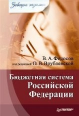 читать Бюджетная система Российской Федерации