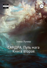 читать Сандра. Путь мага. Книга вторая