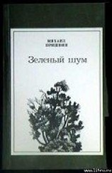 читать На Дальнем Востоке