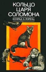 читать Кольцо царя Соломона