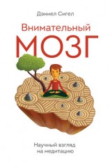 читать Внимательный мозг. Научный взгляд на медитацию