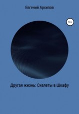 читать Другая жизнь. Скелеты в шкафу