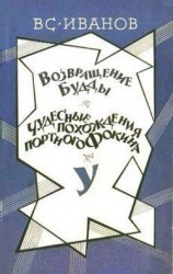 читать Чудесные похождения портного Фокина