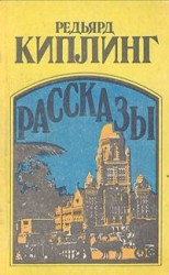 читать Жизнь Мухаммед-Дина