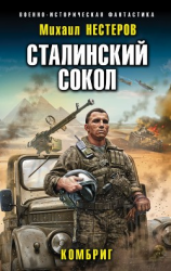 читать Сталинский сокол. Комбриг