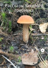 читать Рассказы заядлого грибника