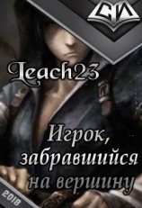читать Игрок, забравшийся на вершину. Том 1