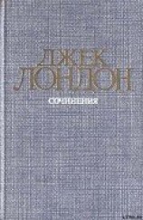 читать Железная пята