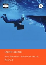 читать Подготовка к выполнению замысла