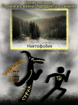 читать Никтофобия