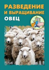 читать Разведение и выращивание овец