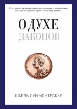 читать О духе законов