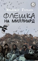 читать Флешка на миллиард