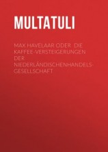 читать Max Havelaar oder Die Kaffee-Versteigerungen der NiederländischenHandels-Gesellschaft
