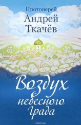 читать Воздух небесного Града