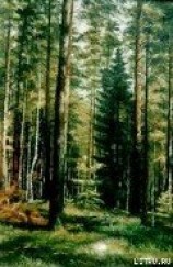 читать Лес – кормилец