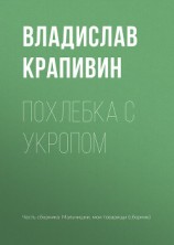 читать Похлебка с укропом