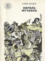 читать Король футбола