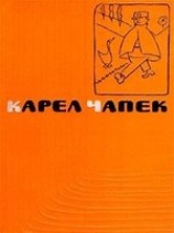читать Собака и кошка