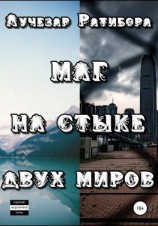 читать Маг на стыке двух миров