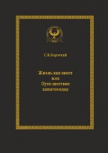 читать Жизнь как квест, или Путе-шествие канатоходца. Серия «Искусство управления»