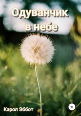читать Одуванчик в небе