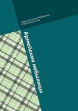 читать Армейские небылицы. Сборник рассказов