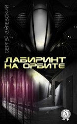 читать Лабиринт на орбите