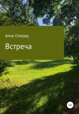читать Anne Chelsey: Встреча