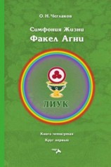 читать Симфония жизни. Факел Агни. Книга четвертая. Круг первый