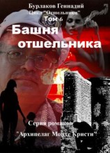 читать Башня отшельника. Цикл «Отшельники». Том 6