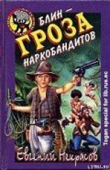 читать Блин – гроза наркобандитов