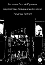 читать Шереметев. Лабиринты познания