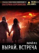 читать Вырай 1.5. Встреча