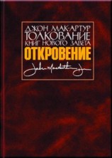 читать Толкование книг Нового Завета. Откровение