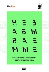 читать Незабываемые