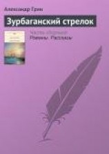 читать Зурбаганский стрелок