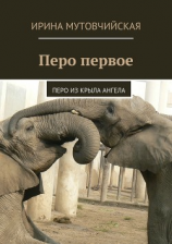 читать Перо первое. Перо из крыла ангела